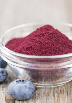 Blueberry Powder
