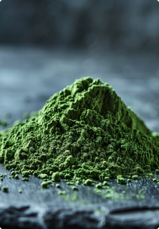 Chlorella