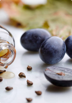 Grape Seed Extract