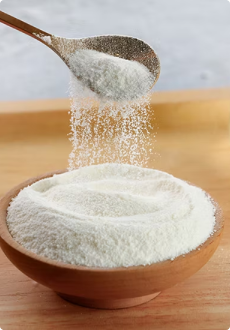 Hydrolyzed Bovine Collagen (Type I)